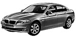 BMW F10 U119E Fault Code